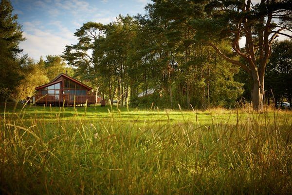 Welcome2Yorks's tweet image. Escape to a cosy UK forest cabin within the UK. yorkshire.com/deals/articles… Book a luxury getaway with a hot tub and get £60 off using the voucher code. #vouchercode #discountcode #holidays #staycation