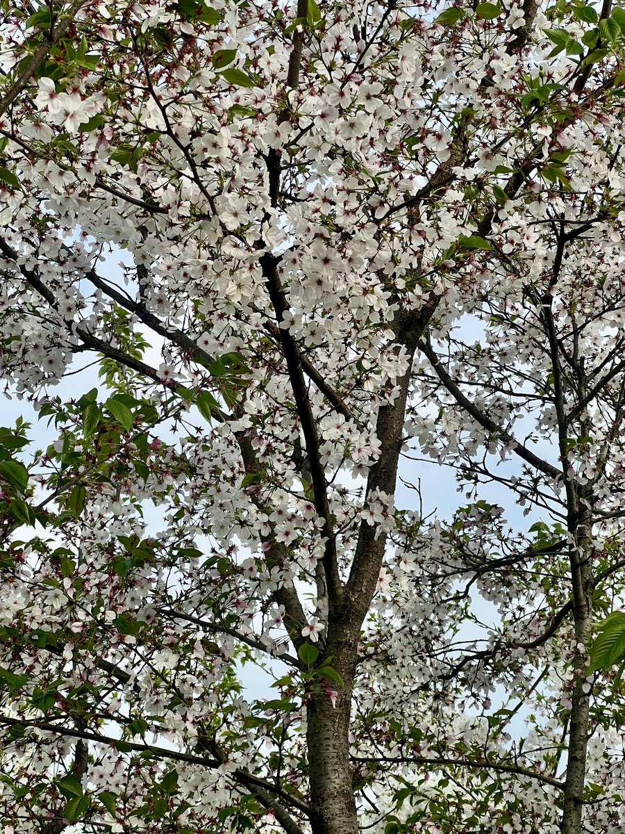 ๐๐๐๐๐๐ ๐ช tweet media