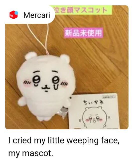 Rabbit 🐰🅱️🤡 tweet media