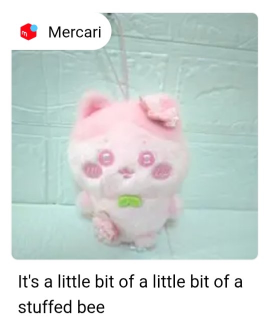 Rabbit 🐰🅱️🤡 tweet media