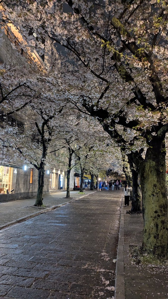 つっきー tweet media