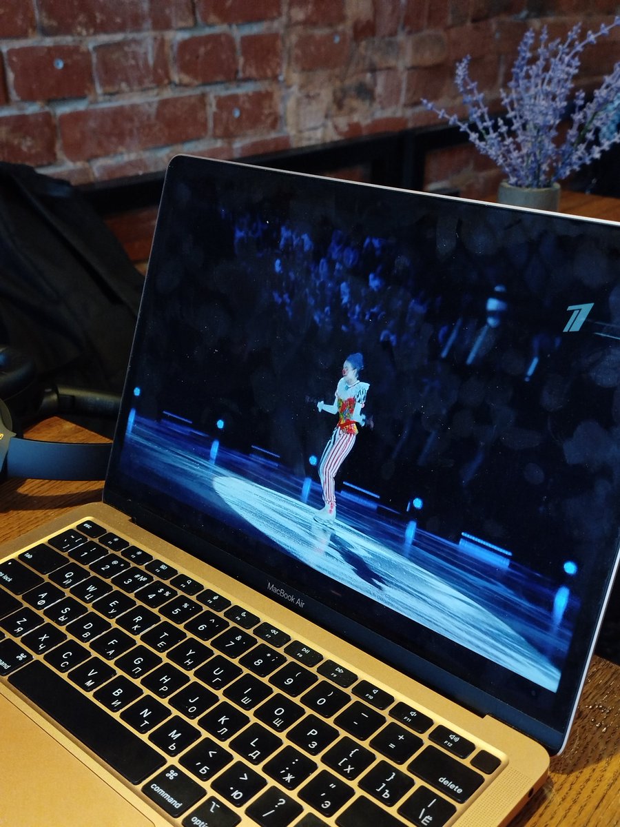 полина апа tweet media