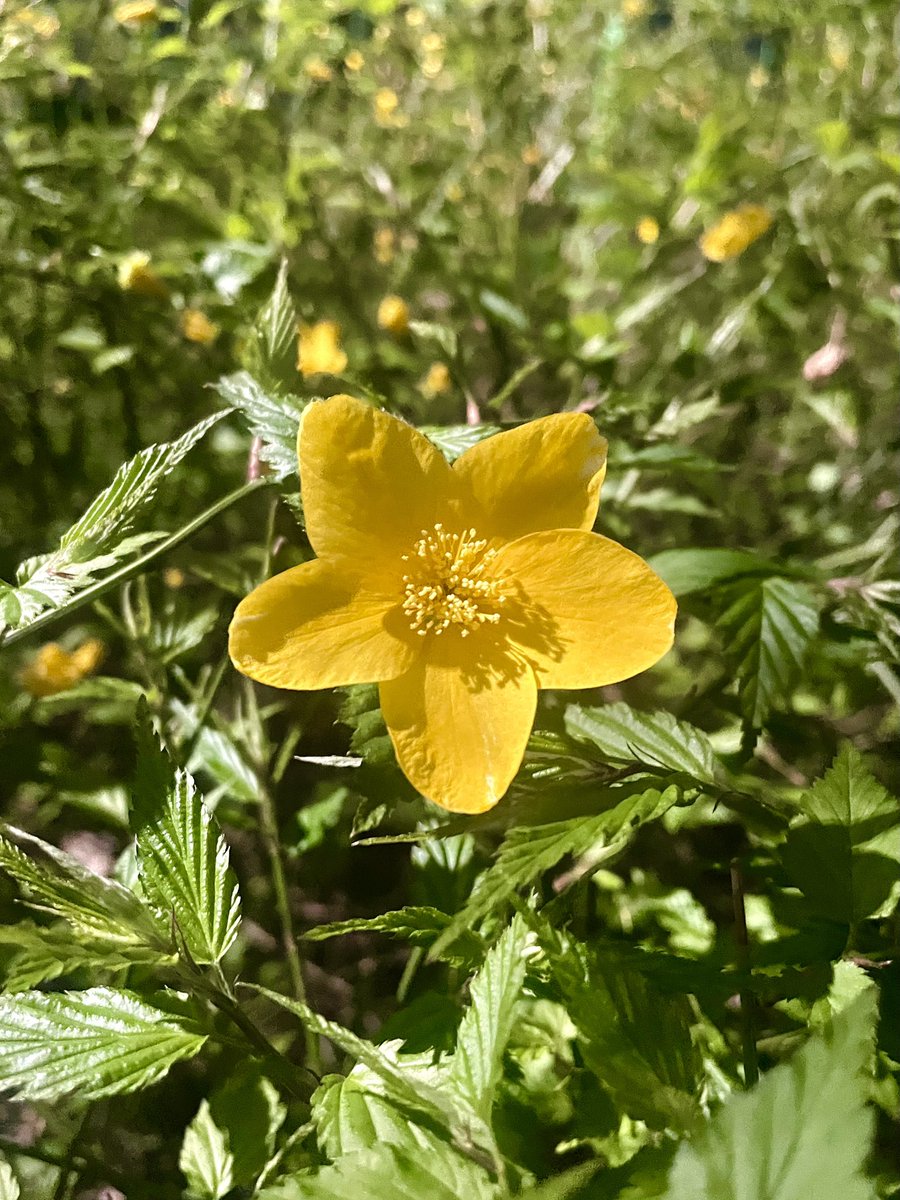 ˗ˋˏ 𝗬𝗼𝗼𝗛𝗲𝗲 ˎˊ˗ tweet media