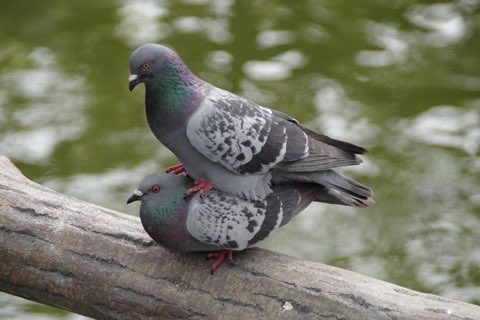 ミニョ tweet media