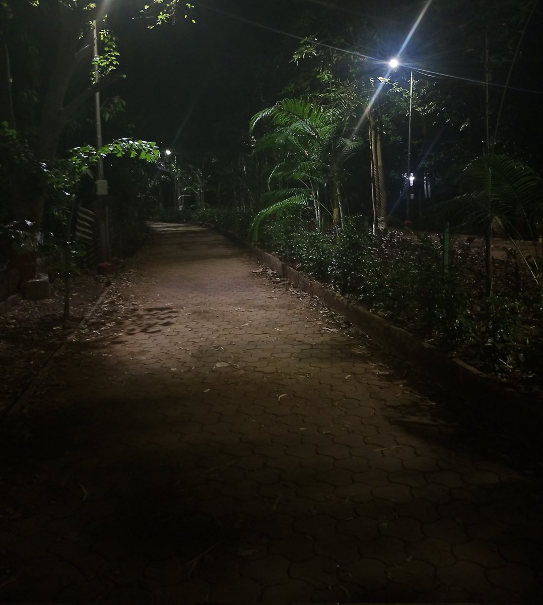 tanned micro tweet media