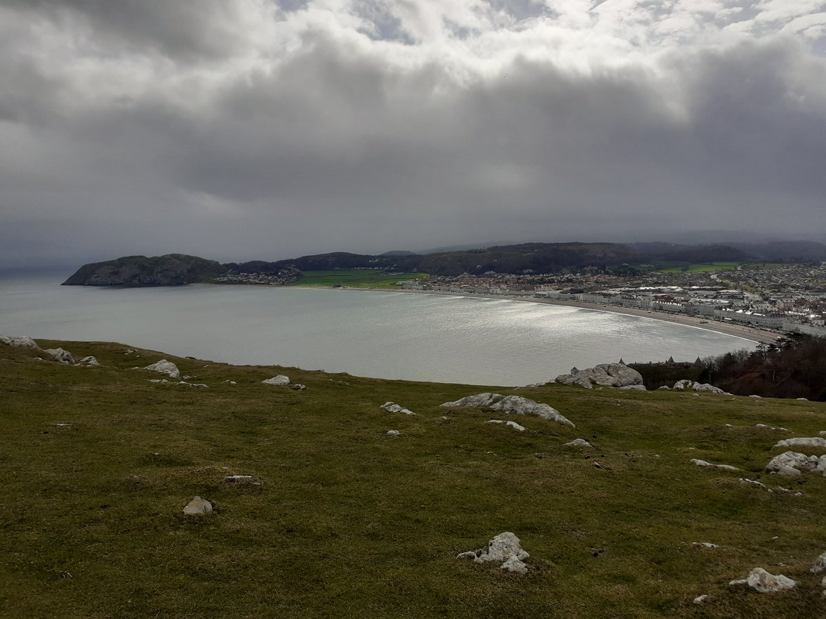 Chris Parry tweet media