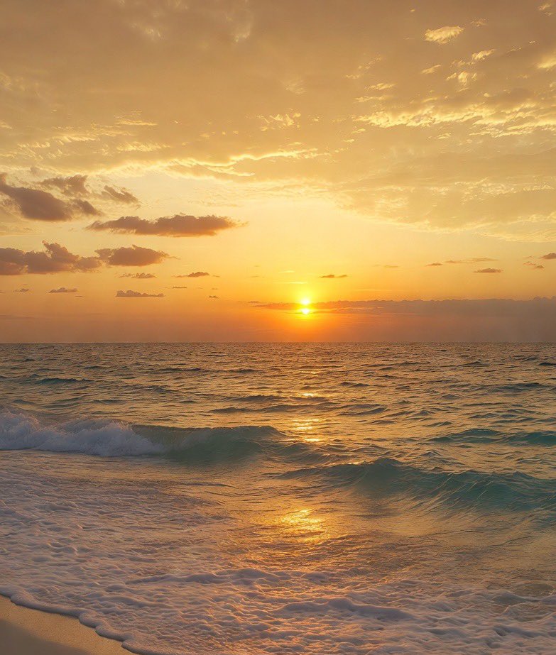 Lisa🌺 tweet media