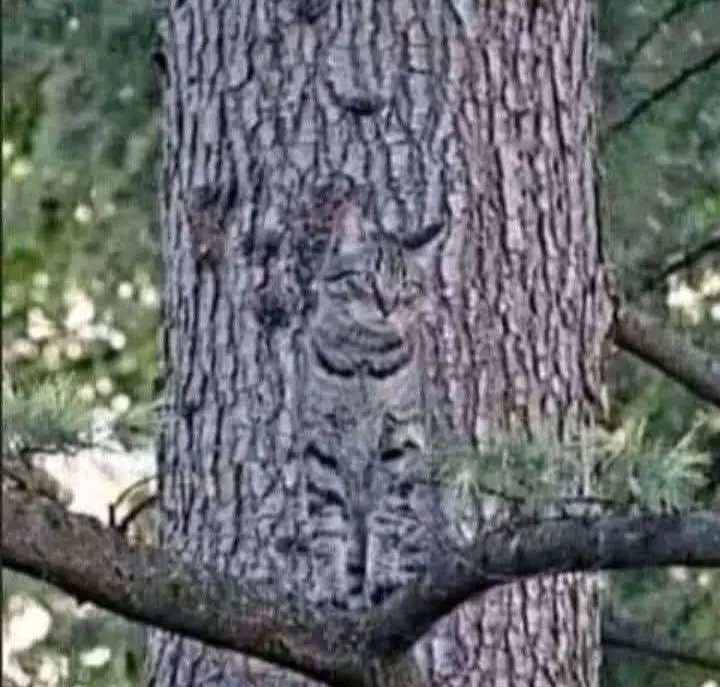 Jacob Shukuru tweet media