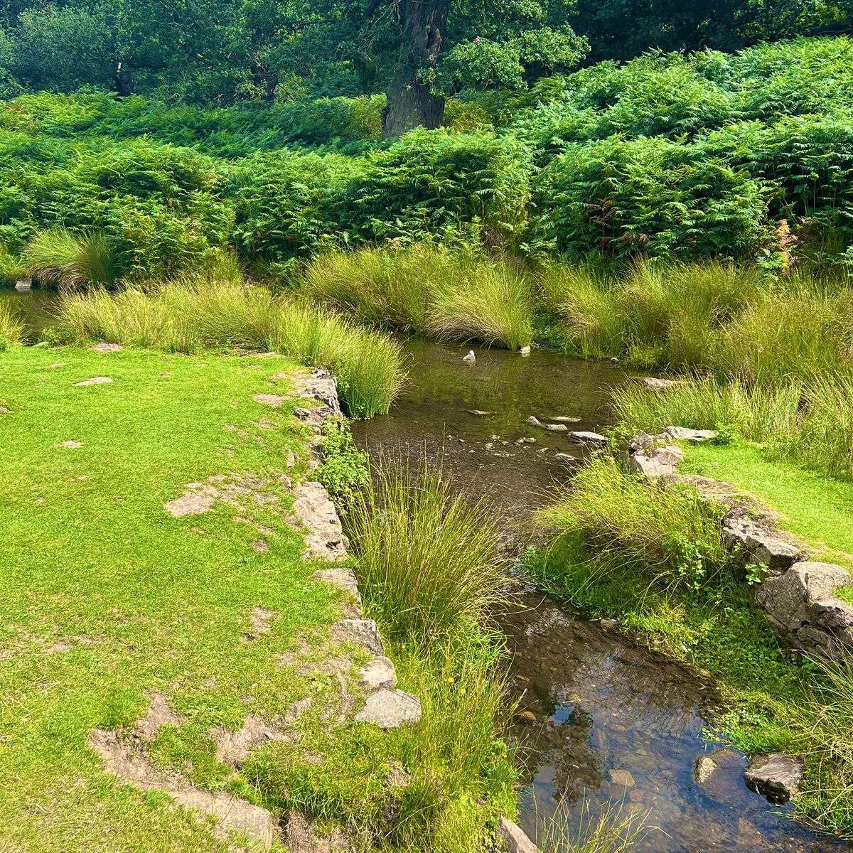 Miss Anthropist 2.0 tweet media