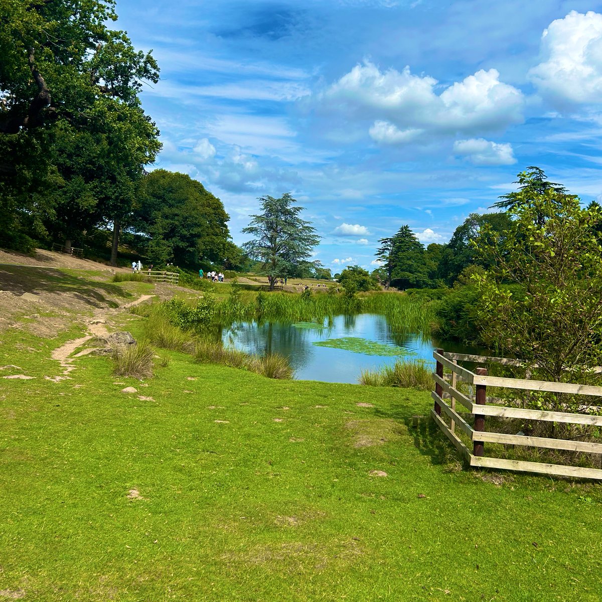 Miss Anthropist 2.0 tweet media