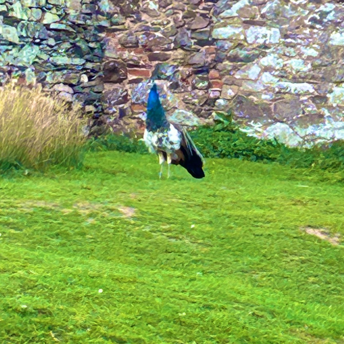 Miss Anthropist 2.0 tweet media