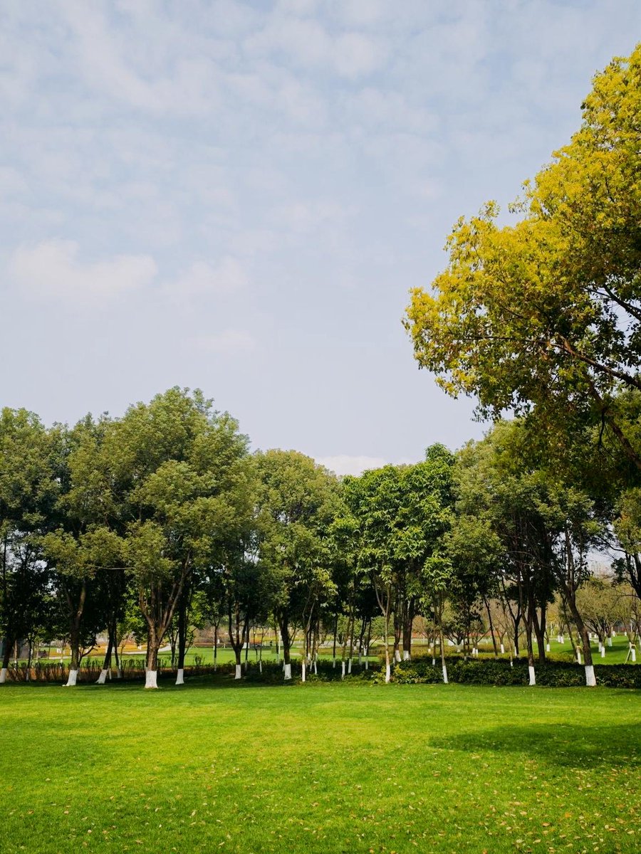 NourAnnan3's tweet image. Neighborly Clean-Up u0026 Picnic | Sat, Oct 14 | 9AM-1PM | Central Park  Grab gloves, bring snacks, meet new neighbors! Let’s spruce up the park + enjoy a post-cleanup picnic. All ages welcome—tag a friend! #CommunityLove #ParkCleanup