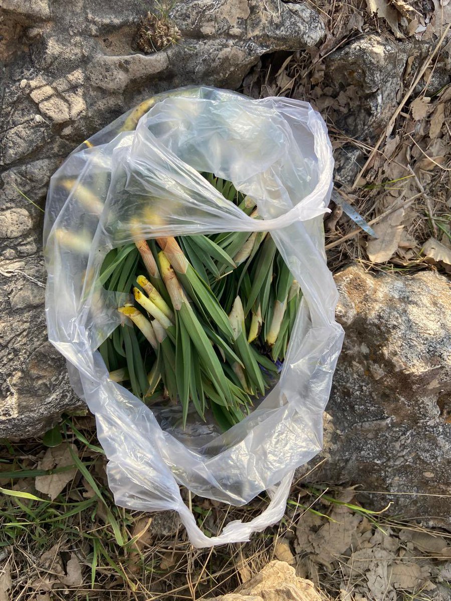 Muazzez Baktaş tweet media