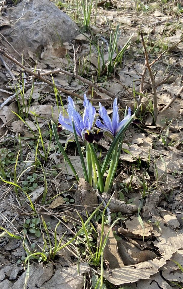 Muazzez Baktaş tweet media