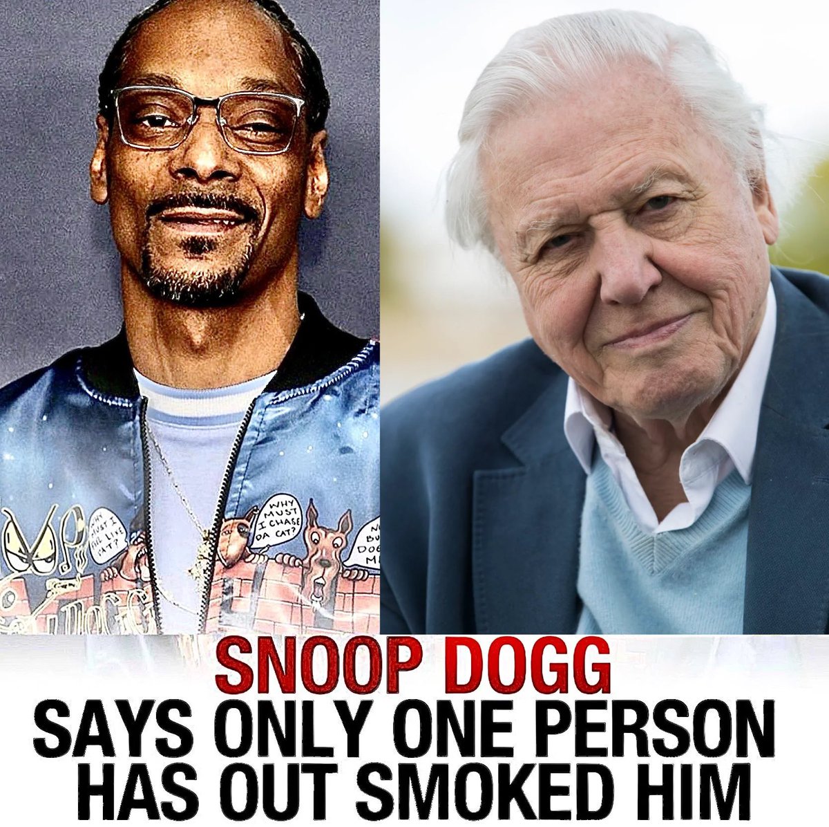 No Context Brits tweet media