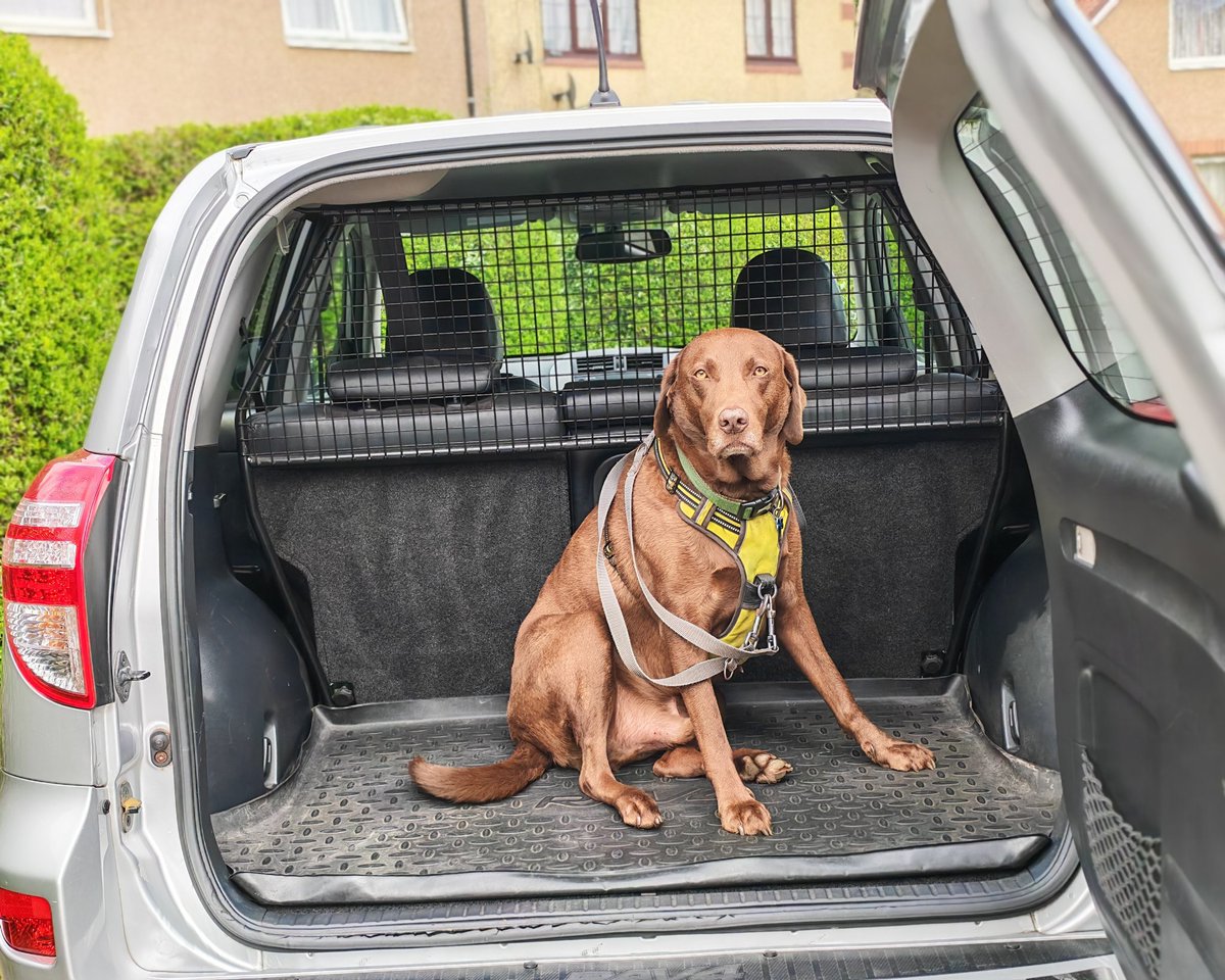 Dot Glover tweet media