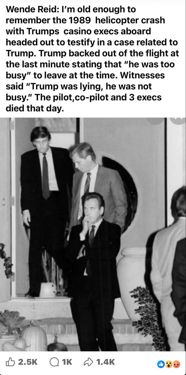 Flatpack Fellamunculus 🏴‍☠️ tweet media