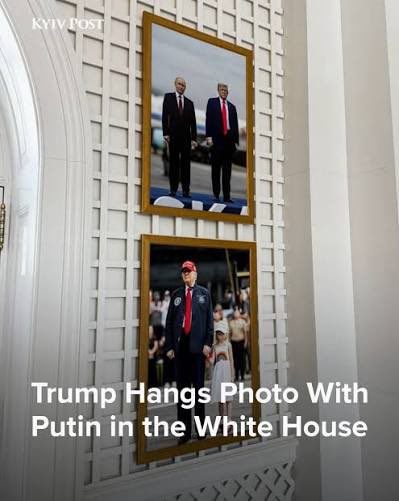 Flatpack Fellamunculus 🏴‍☠️ tweet media