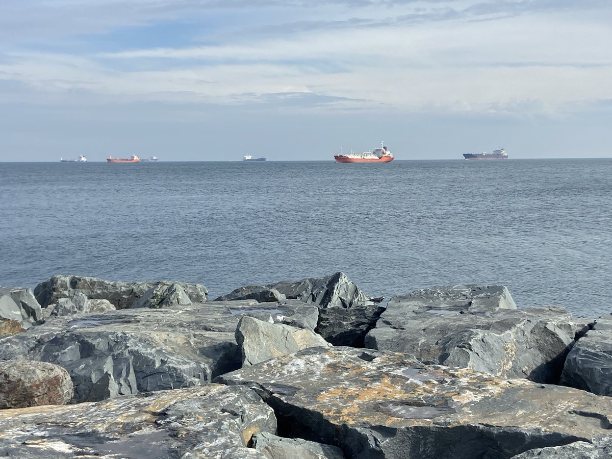 TraderBro tweet media