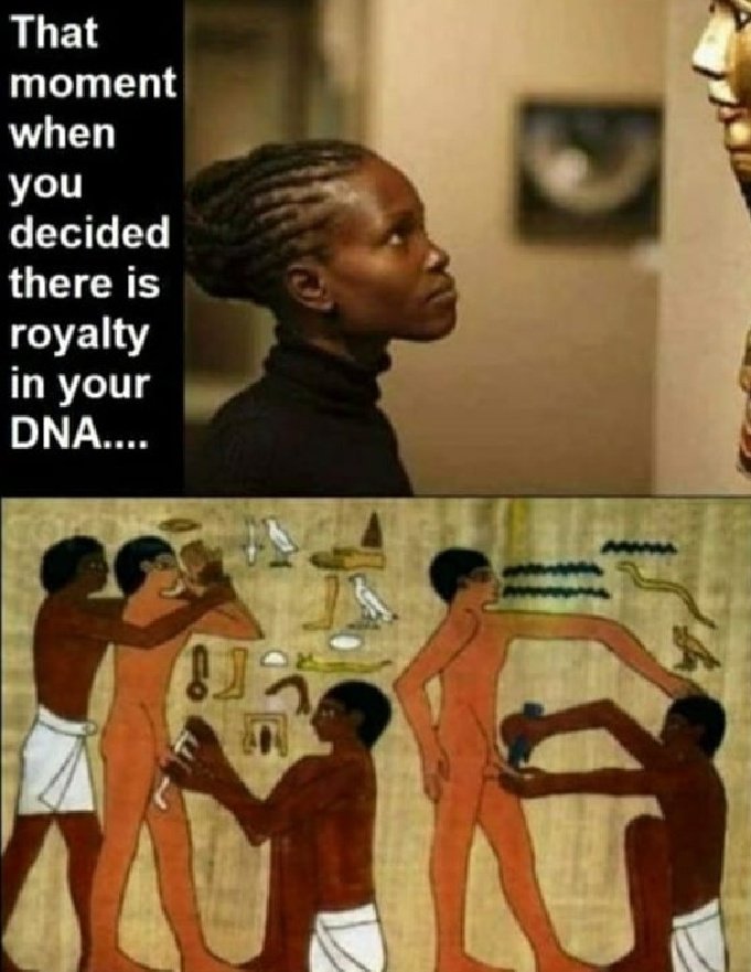 JrÖrN🇺🇲 tweet media