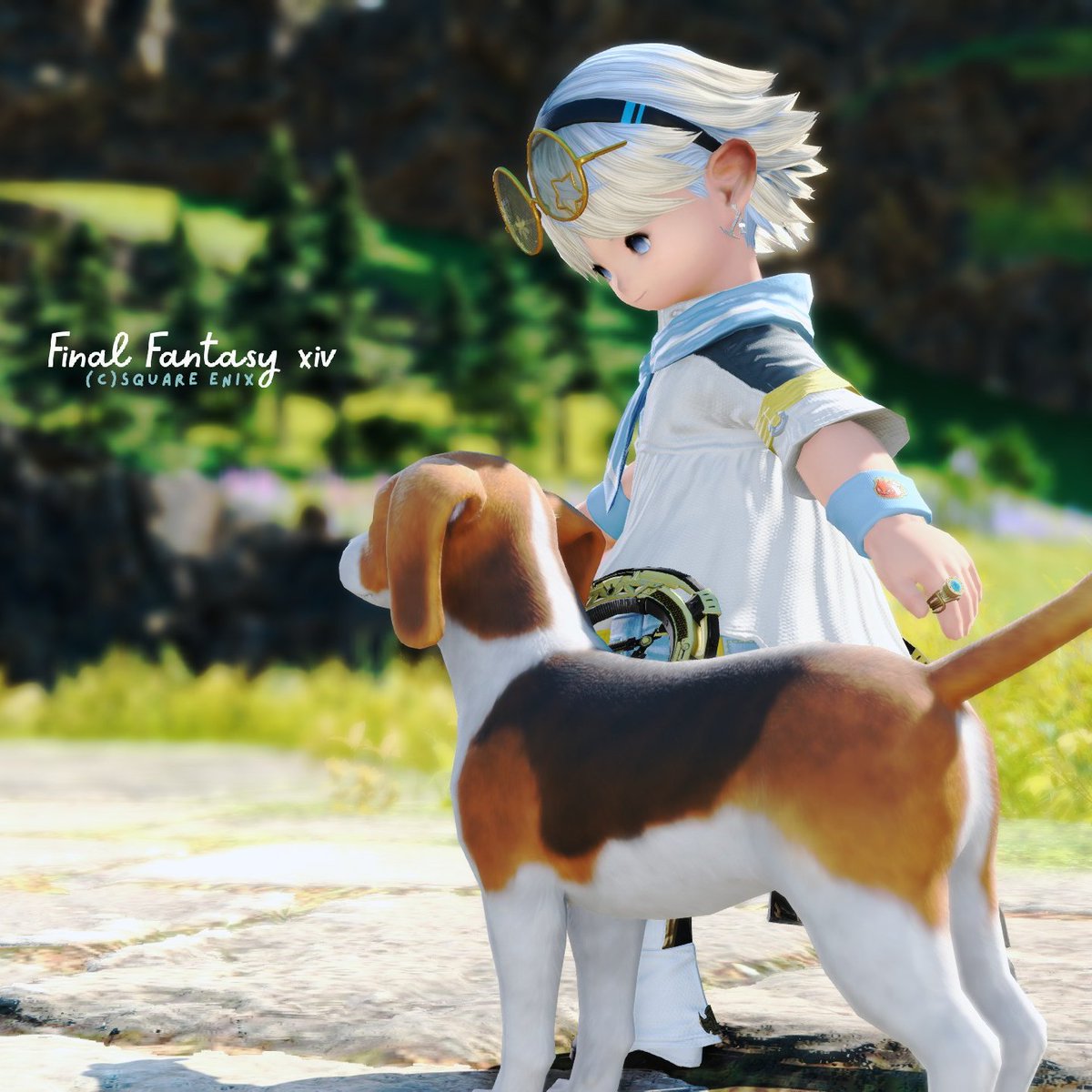 popoiさん tweet media