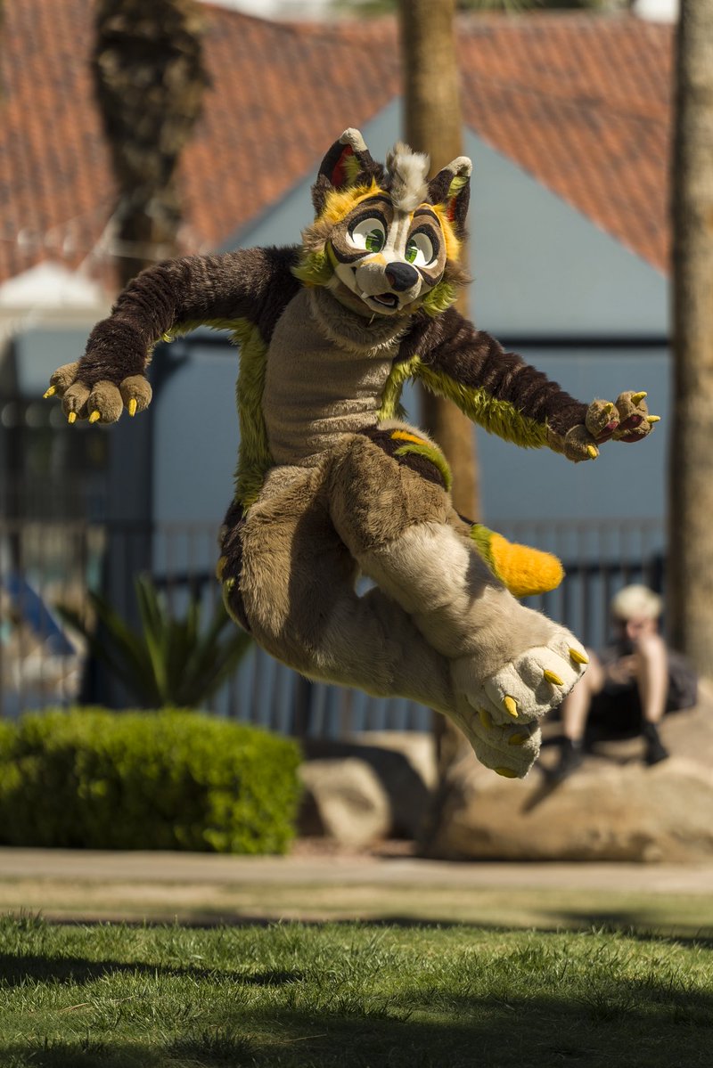 Sid ✈️ tweet media