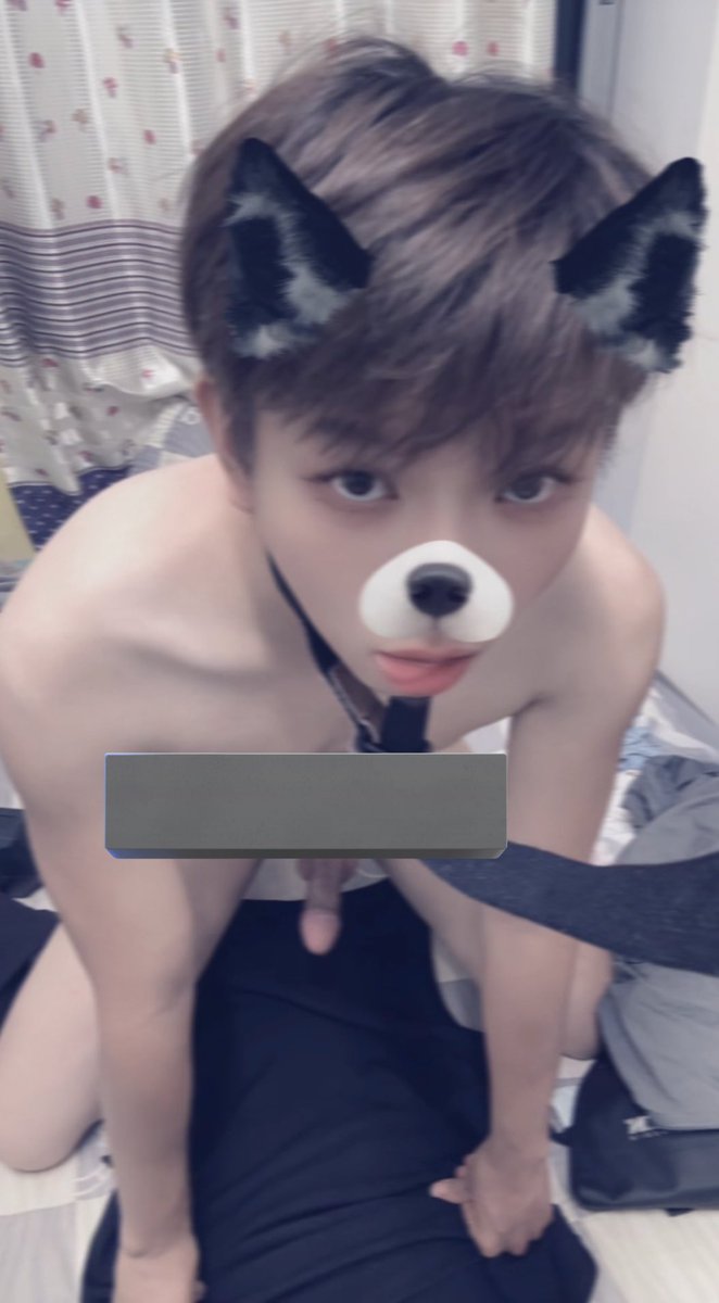 灰灰灰JJ互推 tweet media