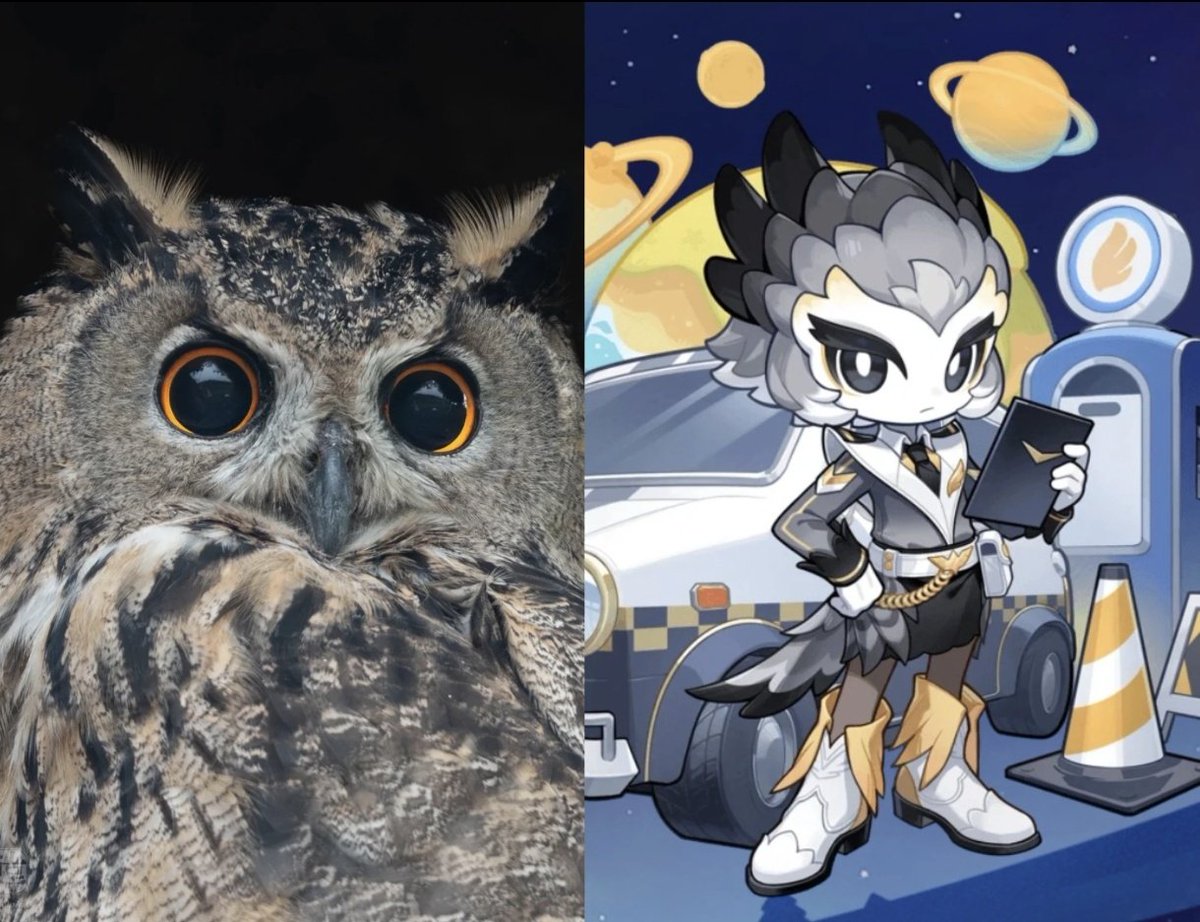 PetitPlanetWorld tweet media