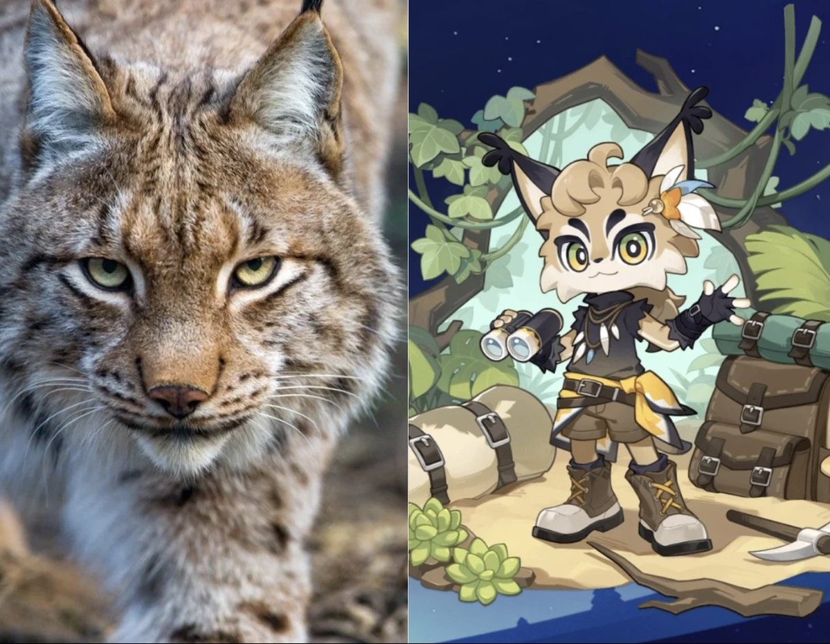 PetitPlanetWorld tweet media