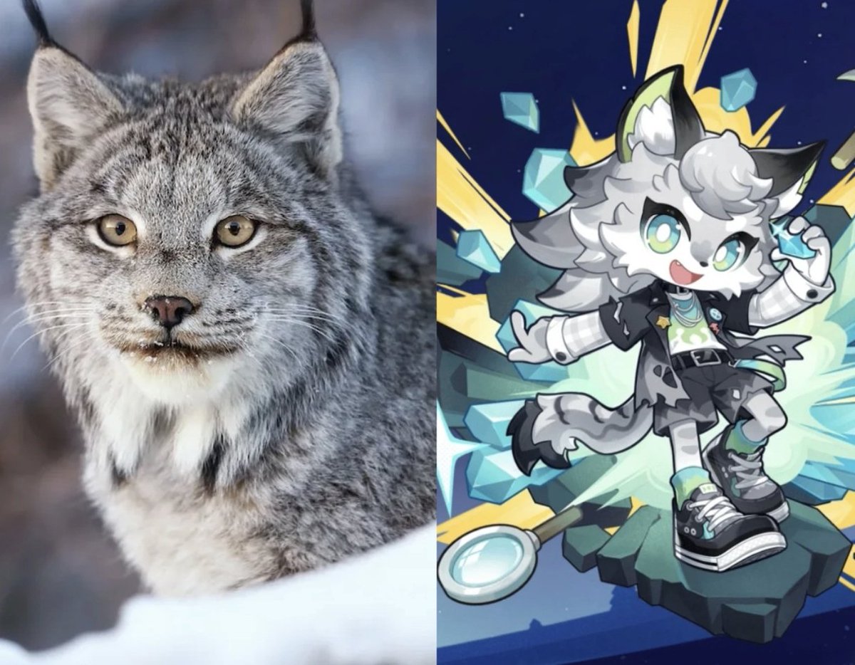 PetitPlanetWorld tweet media