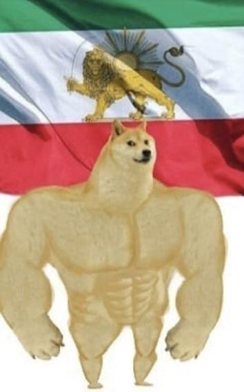 𝔇𝔦𝔢𝔤𝔬 ☭ tweet media