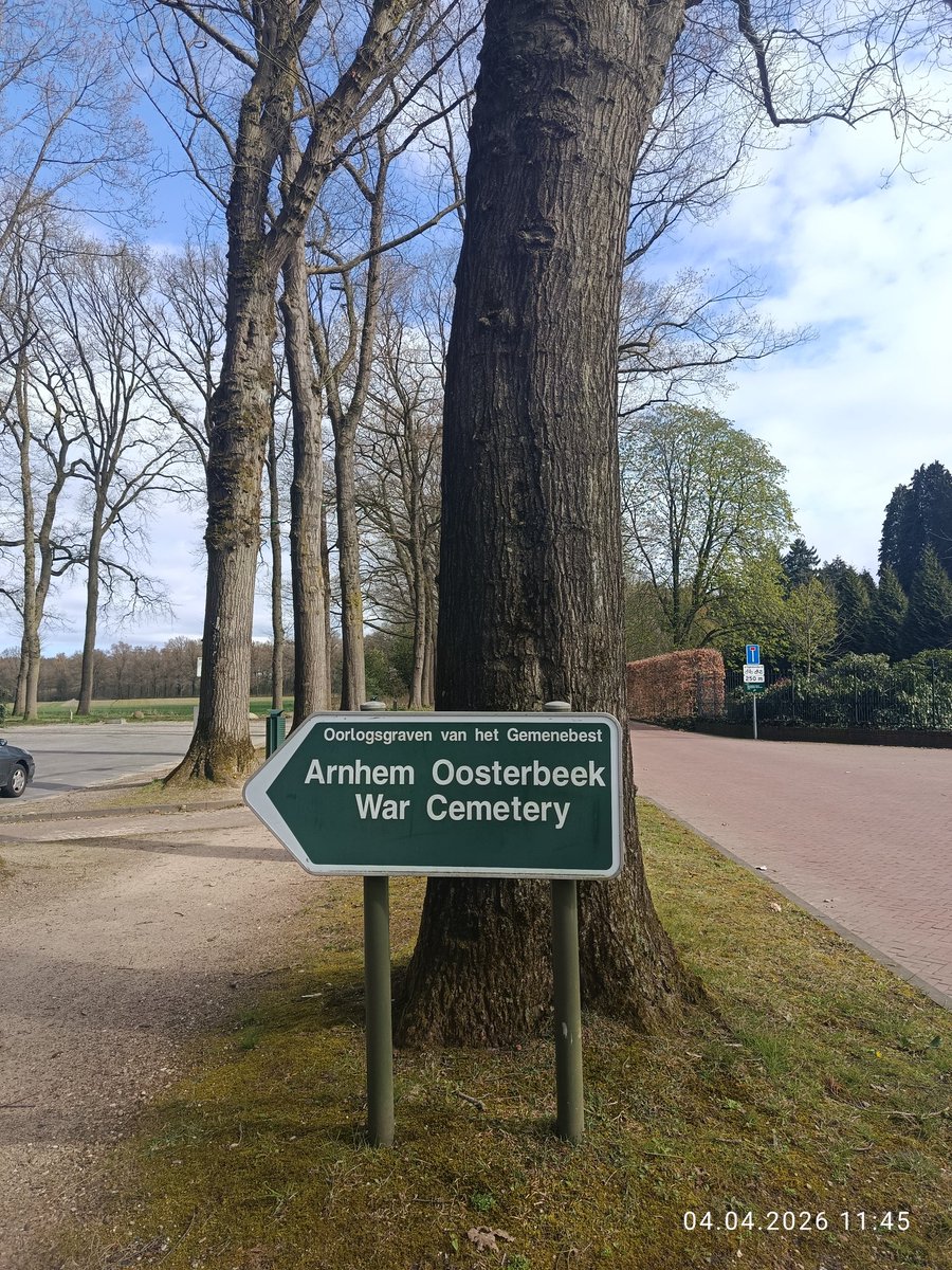 Sergei Anisiforov tweet media