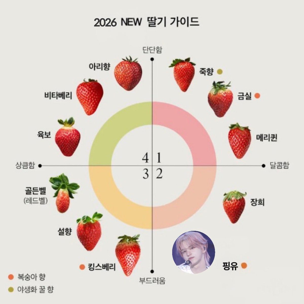 𝙎𝘼𝙉𝙊 tweet media