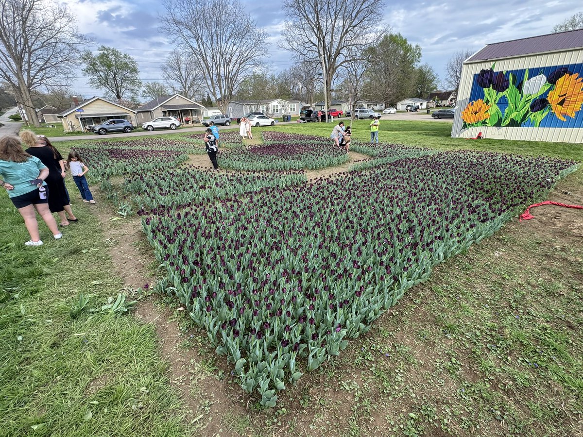 Pat Bremer tweet media