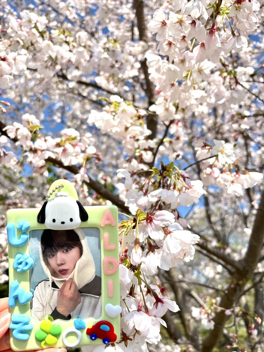 🧸🫧 tweet media