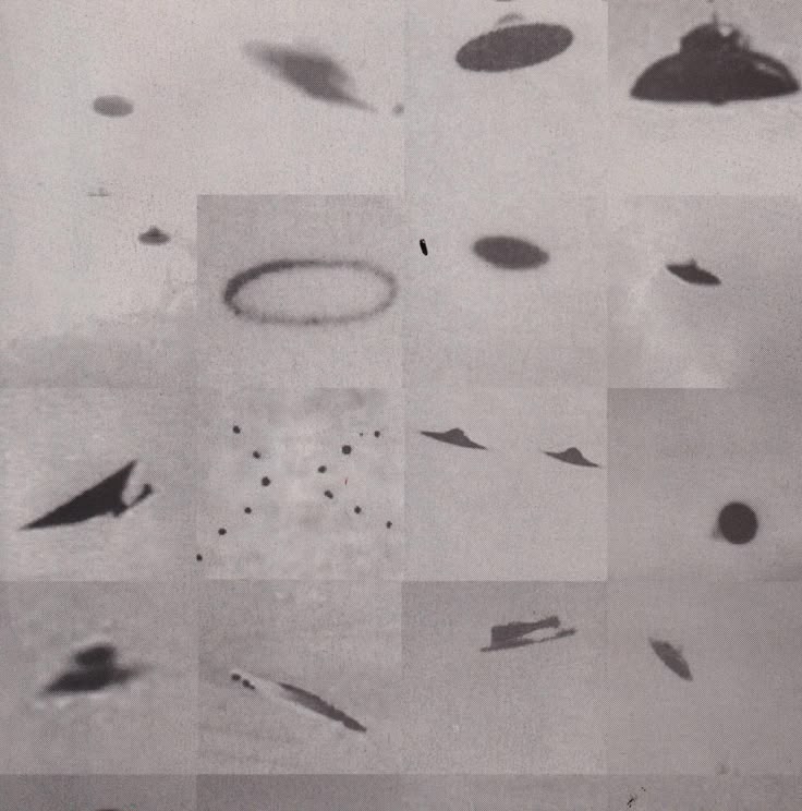 T R U T H P O L E tweet media