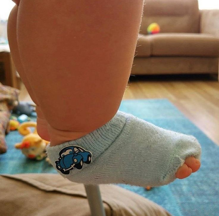 🦉🍯 tweet media