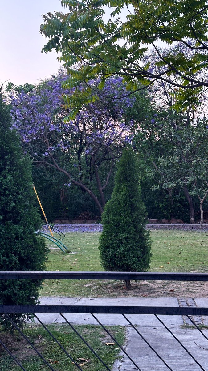 🧃Aästha. tweet media