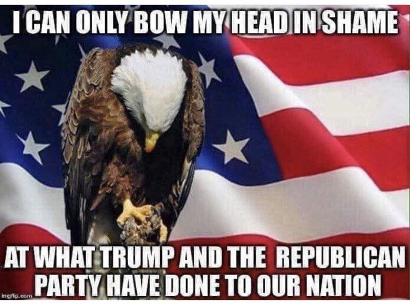 MJ O'Brien tweet media