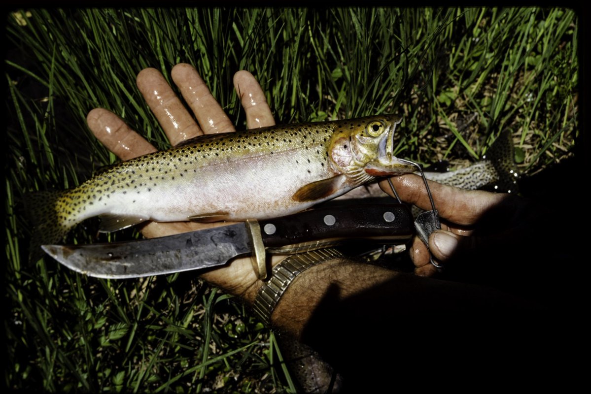 Oliver Dahl tweet media