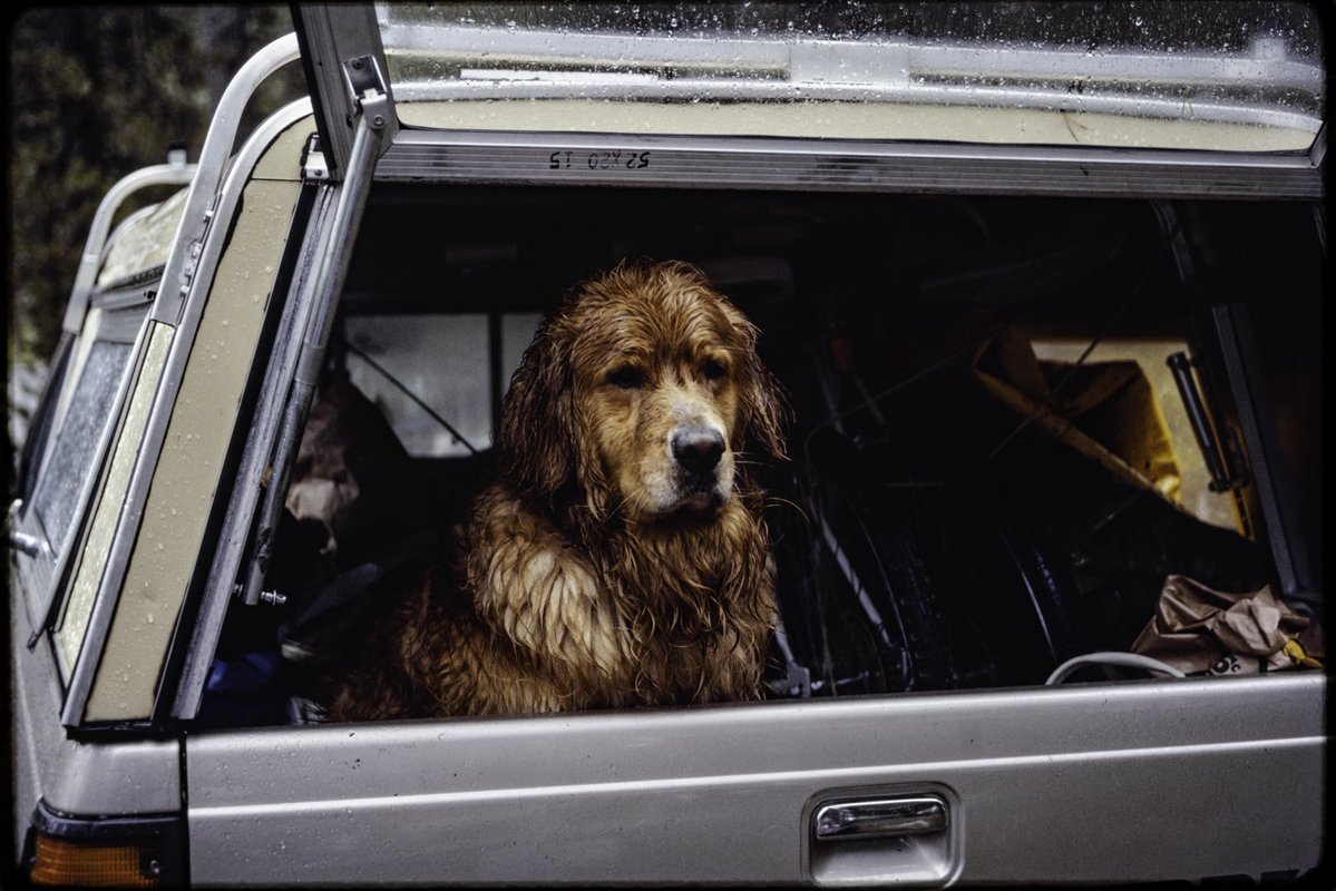 Oliver Dahl tweet media