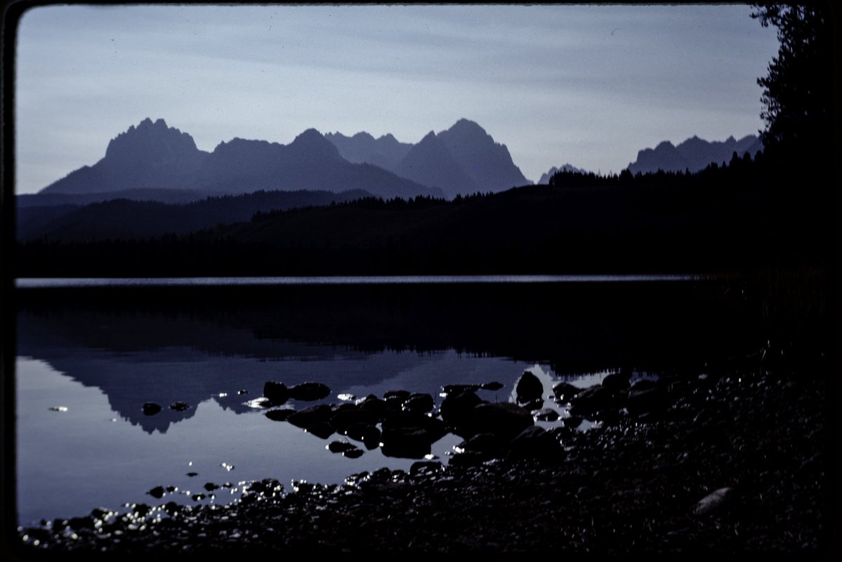 Oliver Dahl tweet media