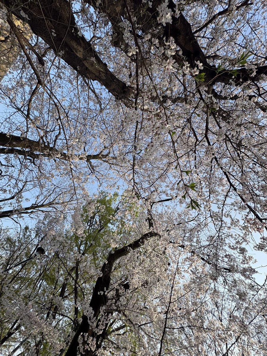 申谷翔吾△ tweet media