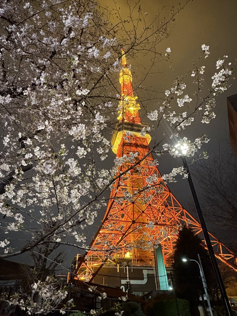 申谷翔吾△ tweet media