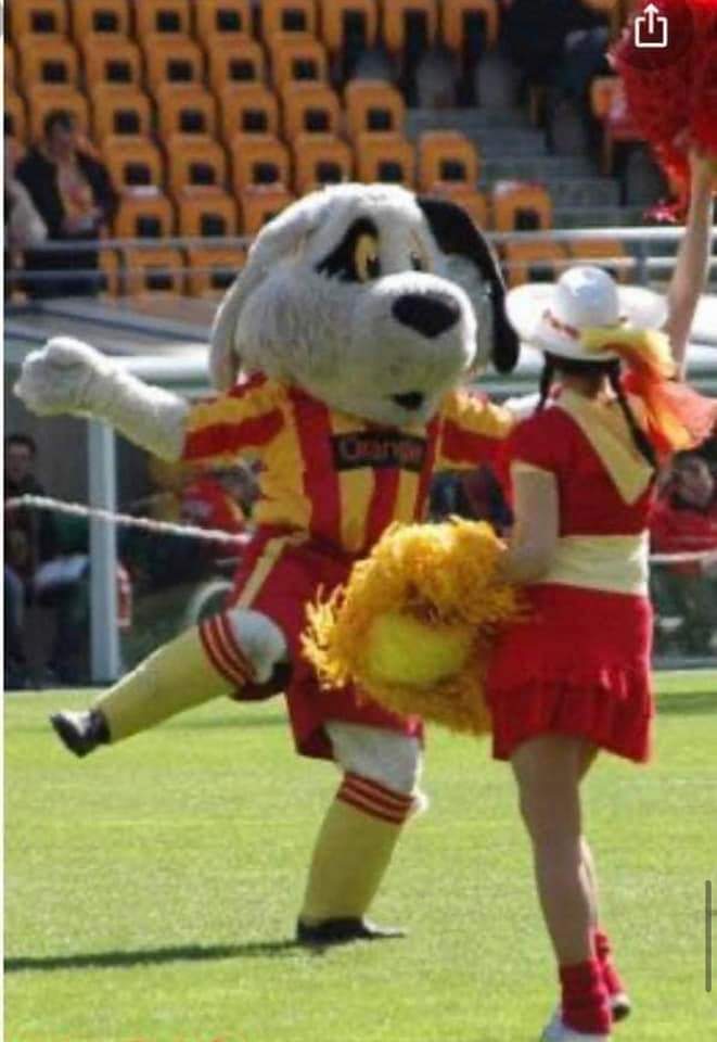 Glou Tox tweet media