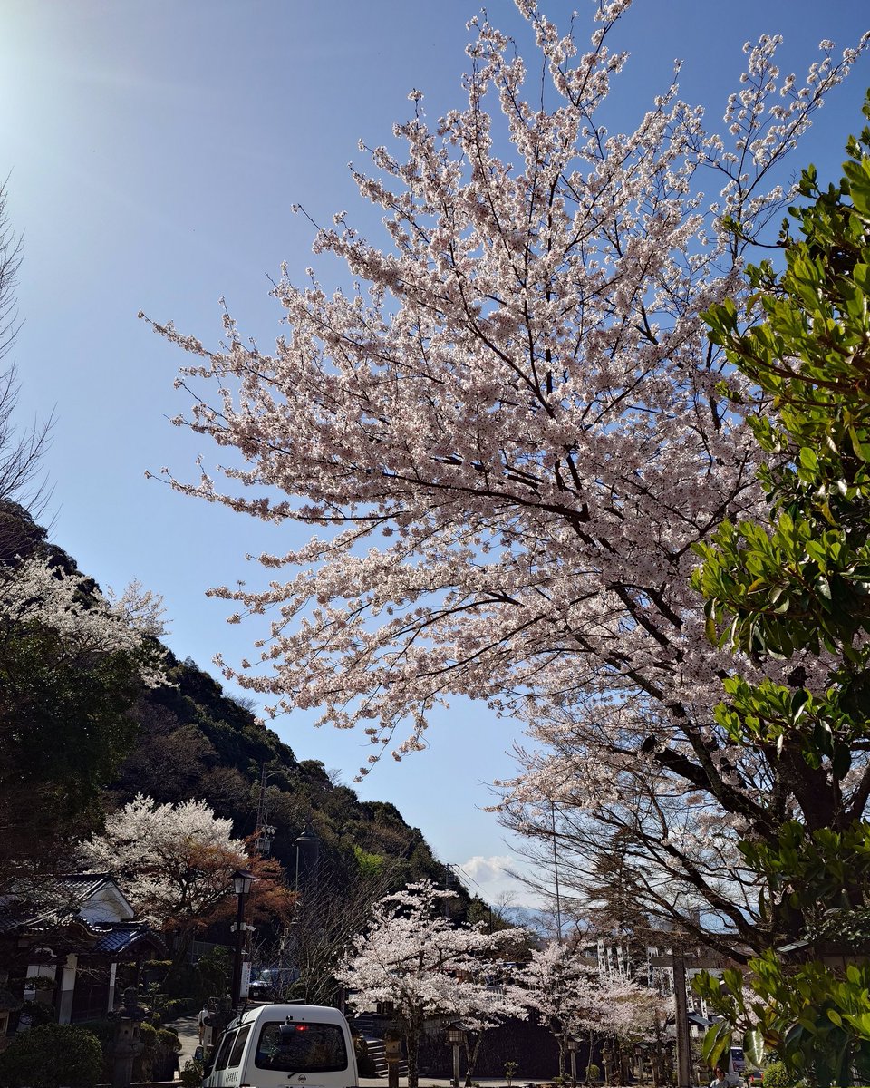 TAKA-KAJI tweet media