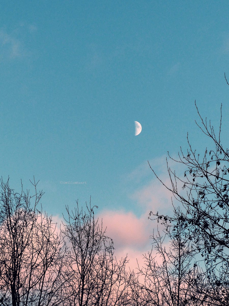 iwillowheart's tweet image. Drifting into a dream   
#naturephotography 
#moonphotography 
#autumn #trees
