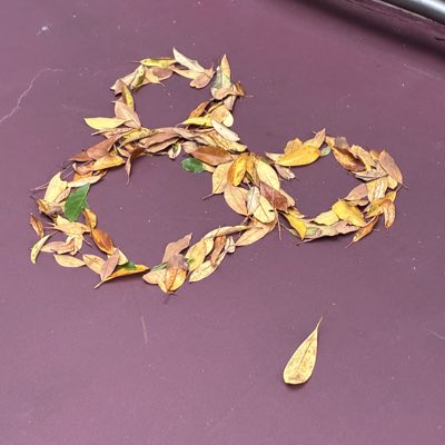 shingenium's tweet photo. #新しいプロフィール画像 https://t.co/NnybhOPHG0