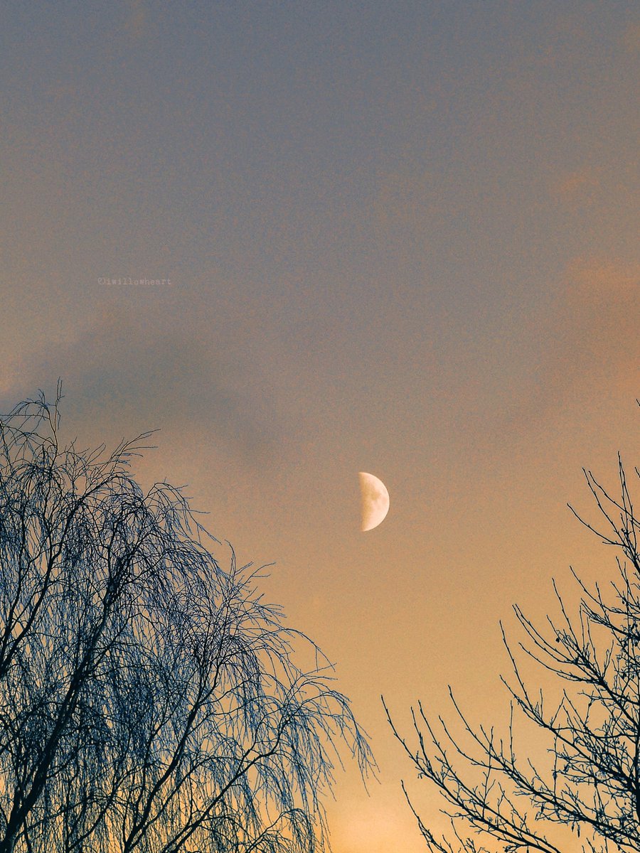 iwillowheart's tweet image. Drifting into a dream   
#naturephotography 
#moonphotography 
#autumn #trees