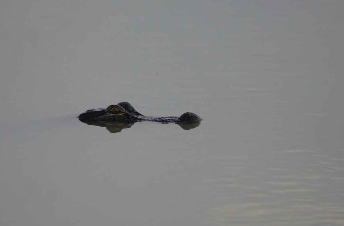 Lake Charles Regional Sports Authority tweet media